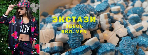 ECSTASY Бородино